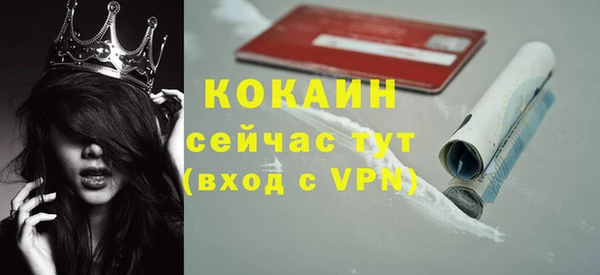 спиды Аркадак
