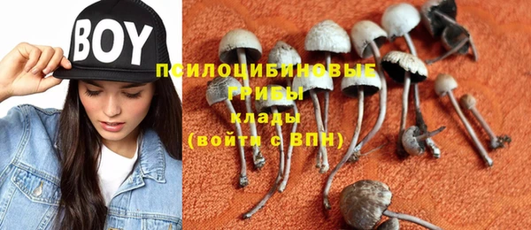 ALPHA PVP Арсеньев