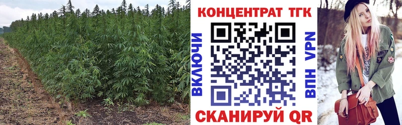 ТГК THC oil  Минусинск 